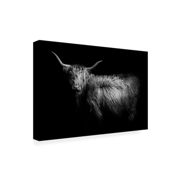 PhotoINC Studio 'Hello Highland Cow' Canvas Art,12x19